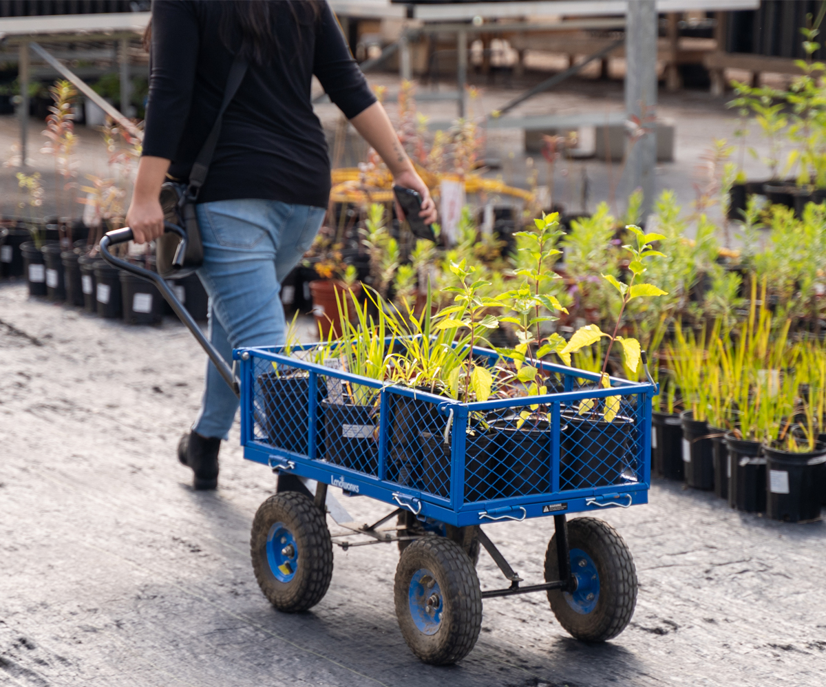 July Gardening Tips for a Thriving Summer Garden