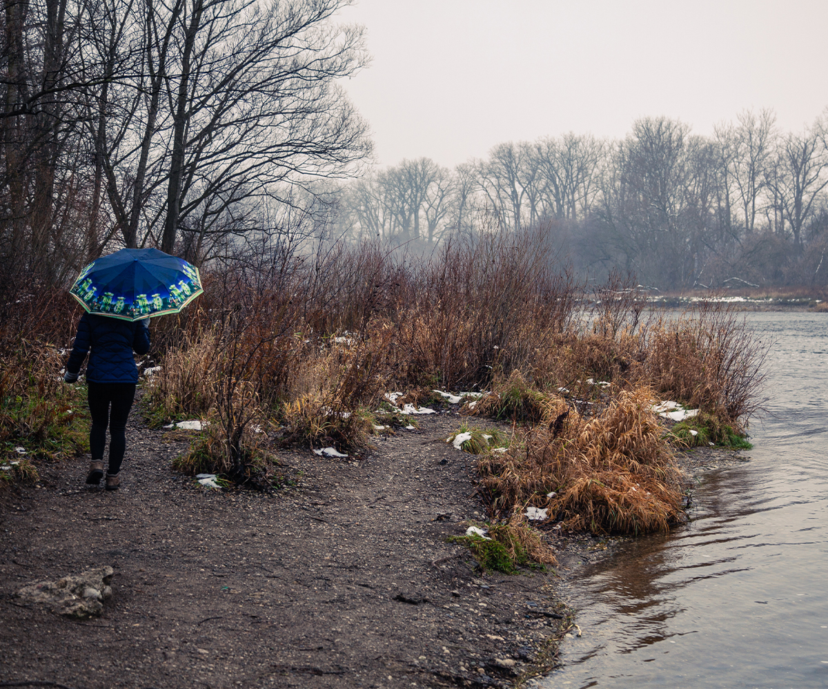 5 Simple Ways to Reconnect with Nature Every Day